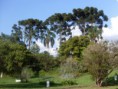 /album/unidade-vargem/vargem-11-jpg/